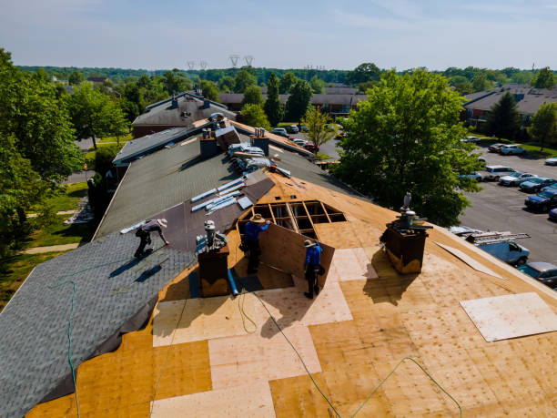 Residential Roof Replacement in Reed Creek, GA