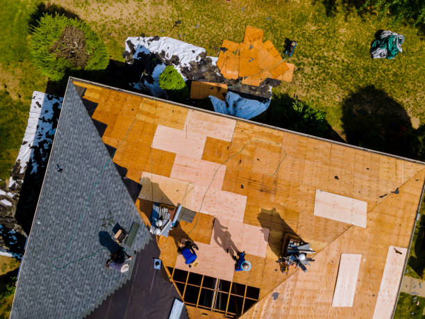Professional Roofing Contractor in Reed Creek, GA