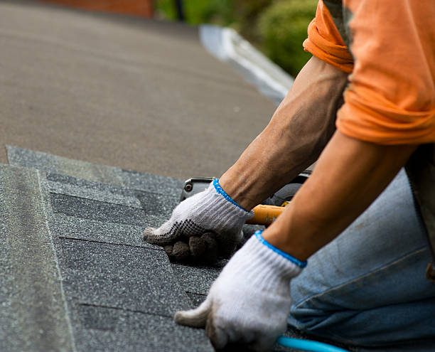 Best Shingle Roofing Installation  in Reed Creek, GA