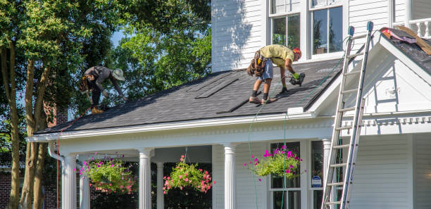 Best Roof Gutter Cleaning  in Reed Creek, GA